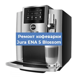 Замена термостата на кофемашине Jura ENA 5 Blossom в Новосибирске